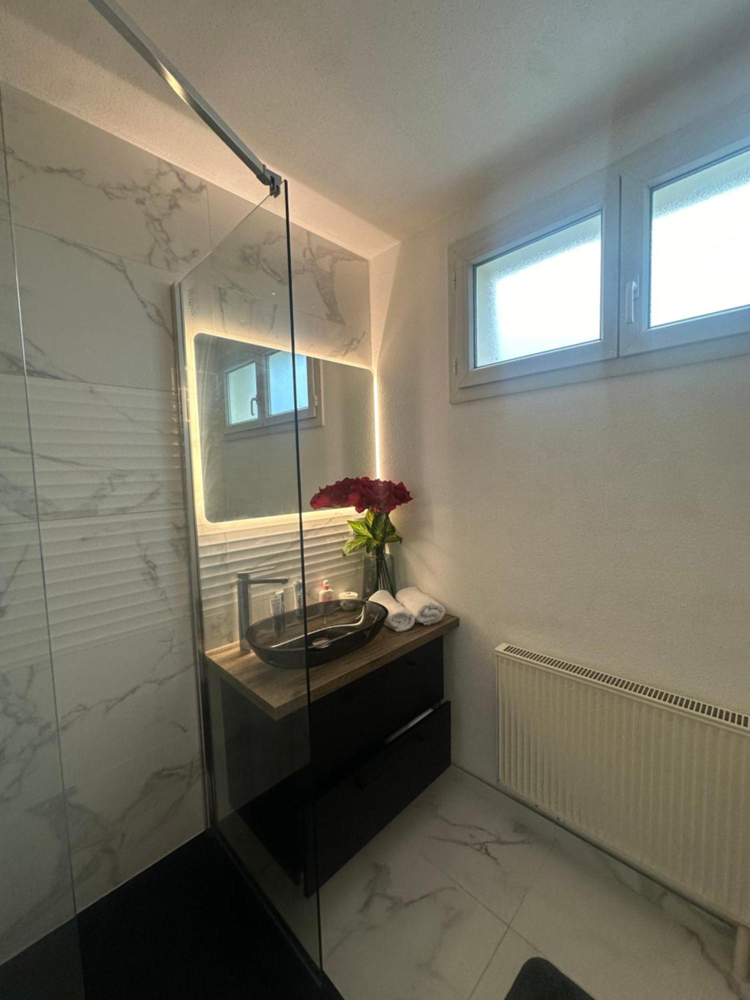 Tres Beau Trois Pieces Avec Vue Degagee Leilighet Strasbourg Eksteriør bilde
